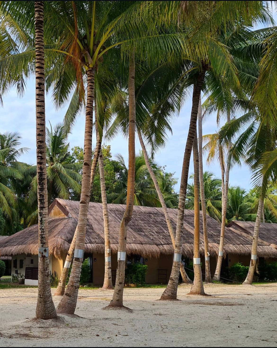 Cave Pool, White Sand Beach & Chill Day Panglao