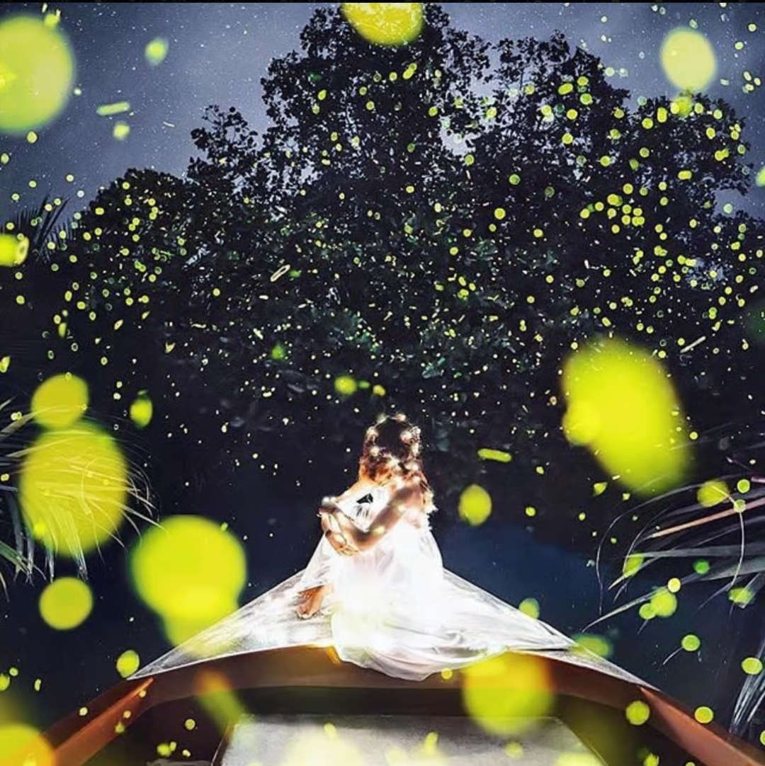 Fireflies River Cruise Bohol