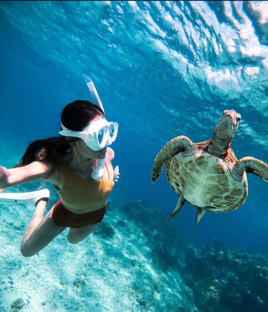 Island Hopping Bohol