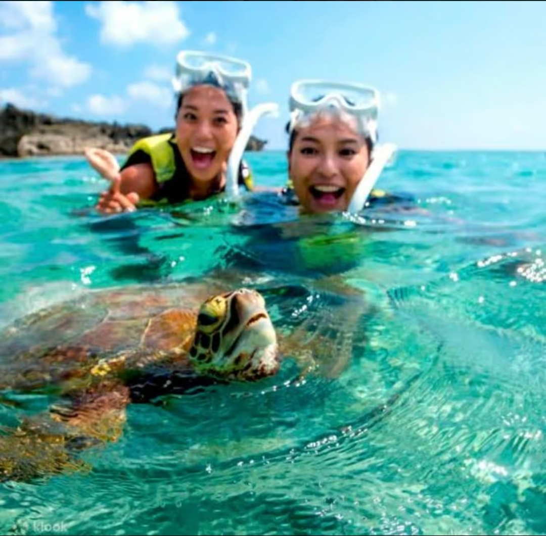 Island Hopping Bohol