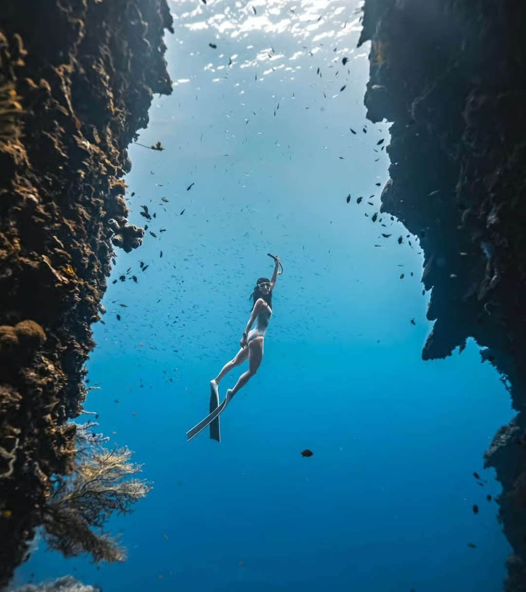 Sardine Snorkeling Private Tour