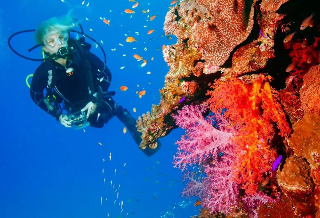 Scuba Bohol