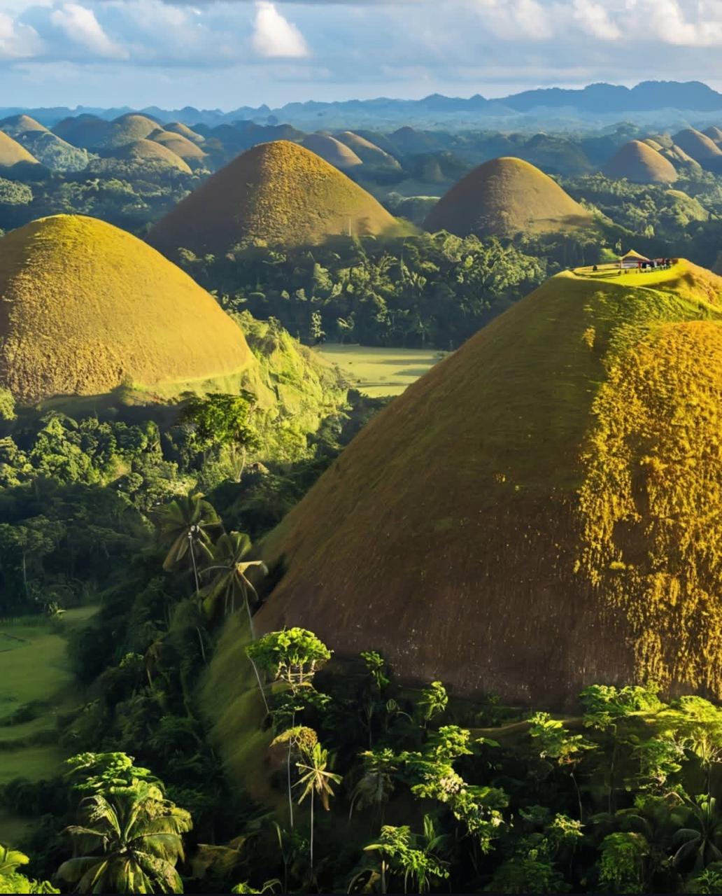 Chocolate Hills view 4