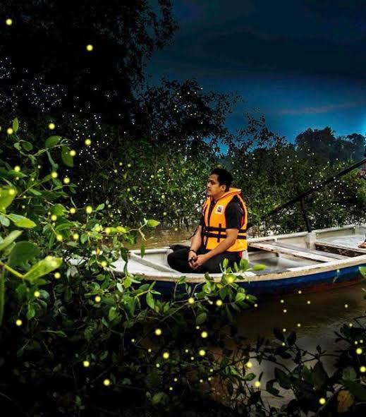 Firefly river view 1