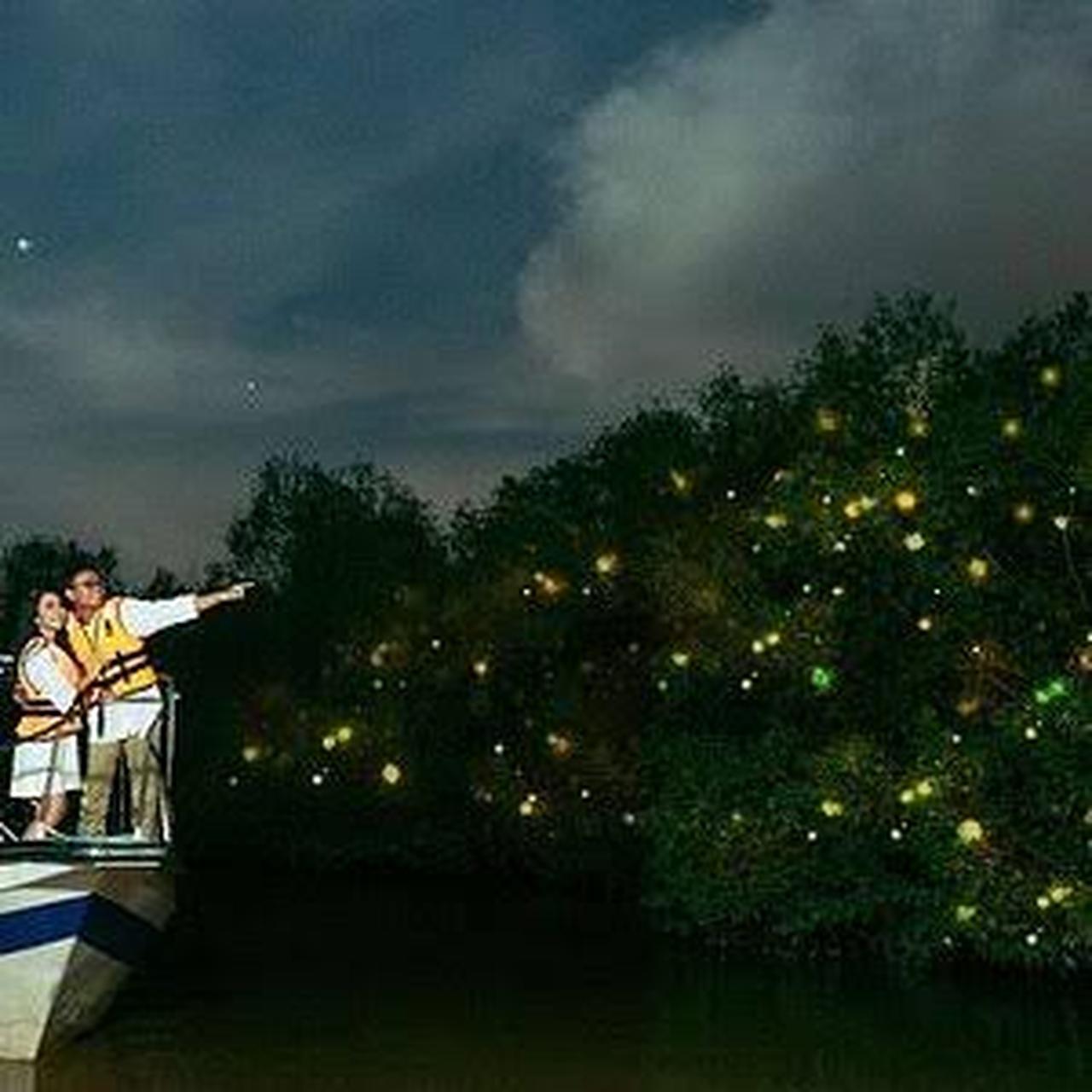 Firefly river view 7