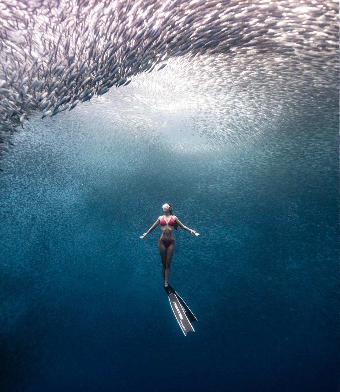 Tropical fish 8