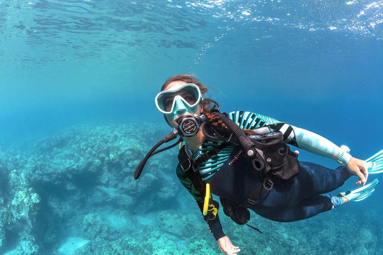 Scuba diving marine life 3