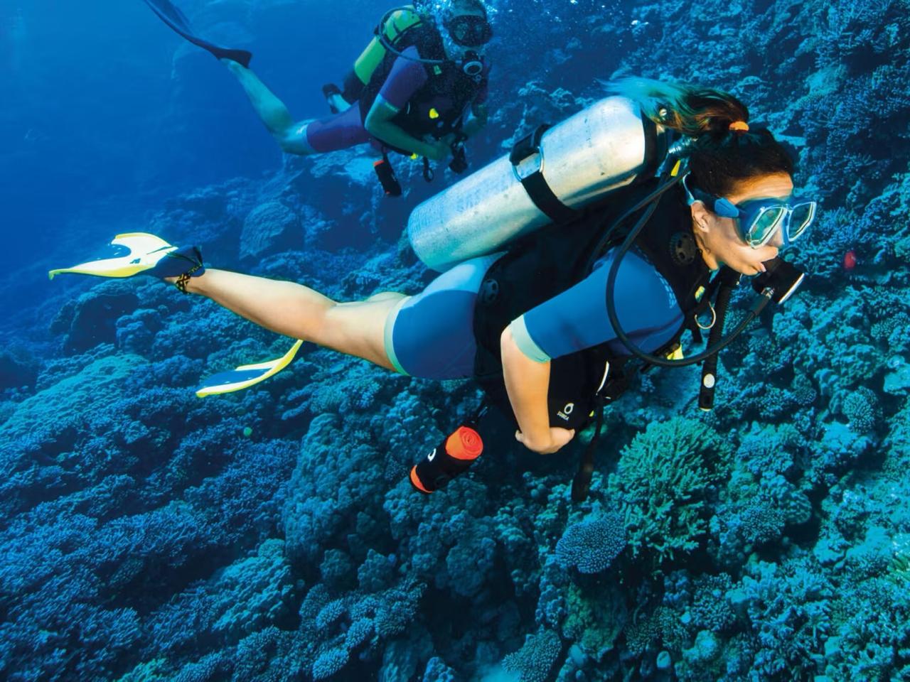 Scuba diving coral 4