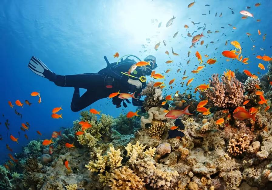 Scuba diver underwater 5