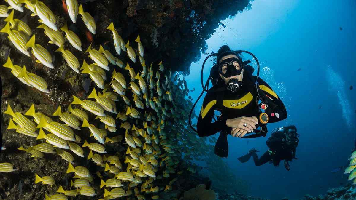 Scuba diver underwater 8