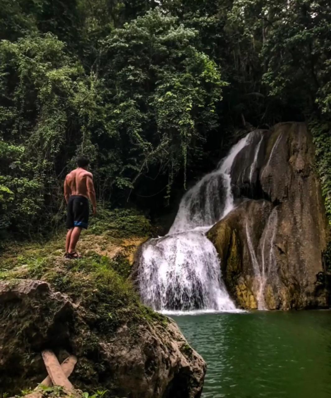 Jungle trail 8