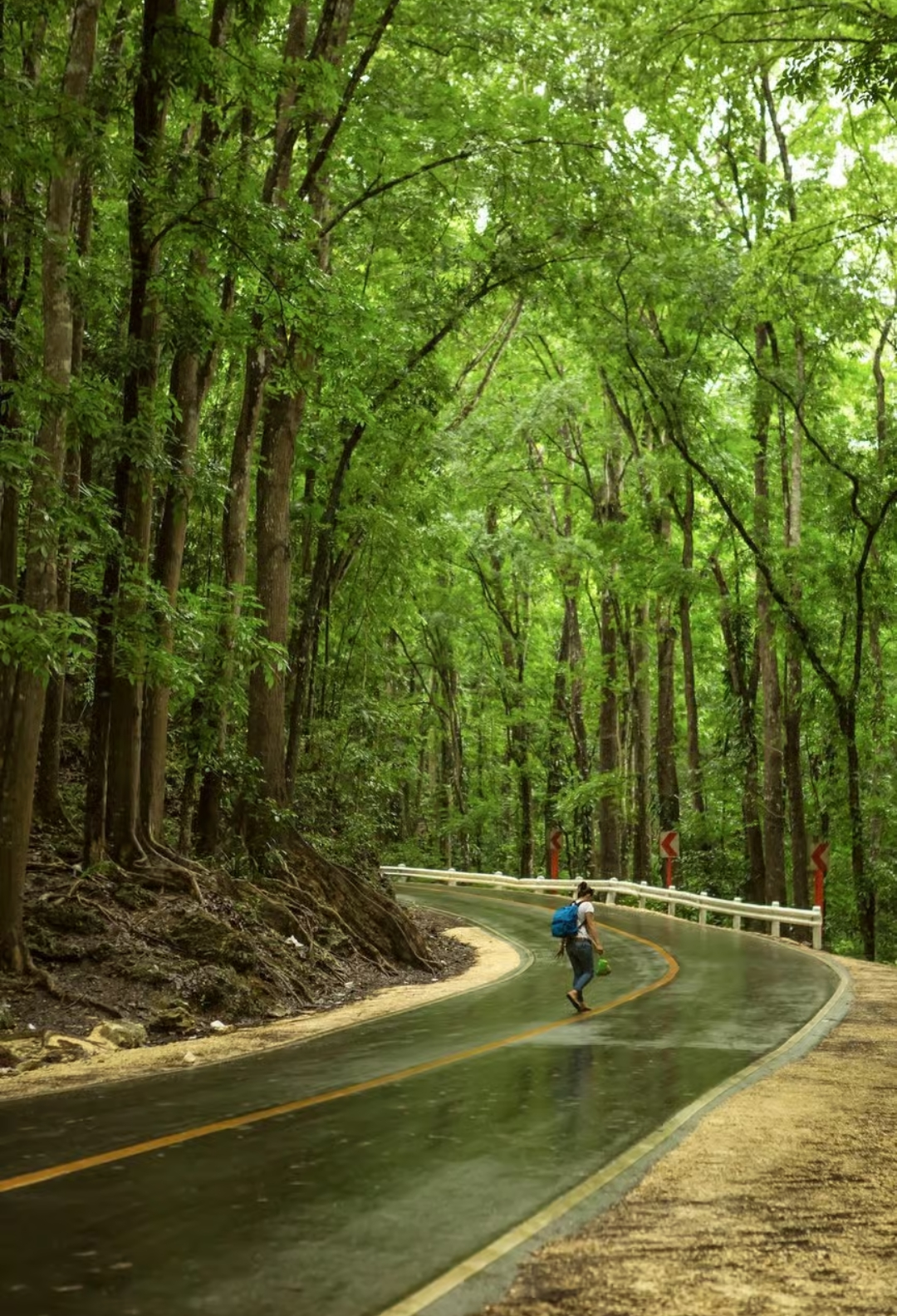 Bohol Landscape