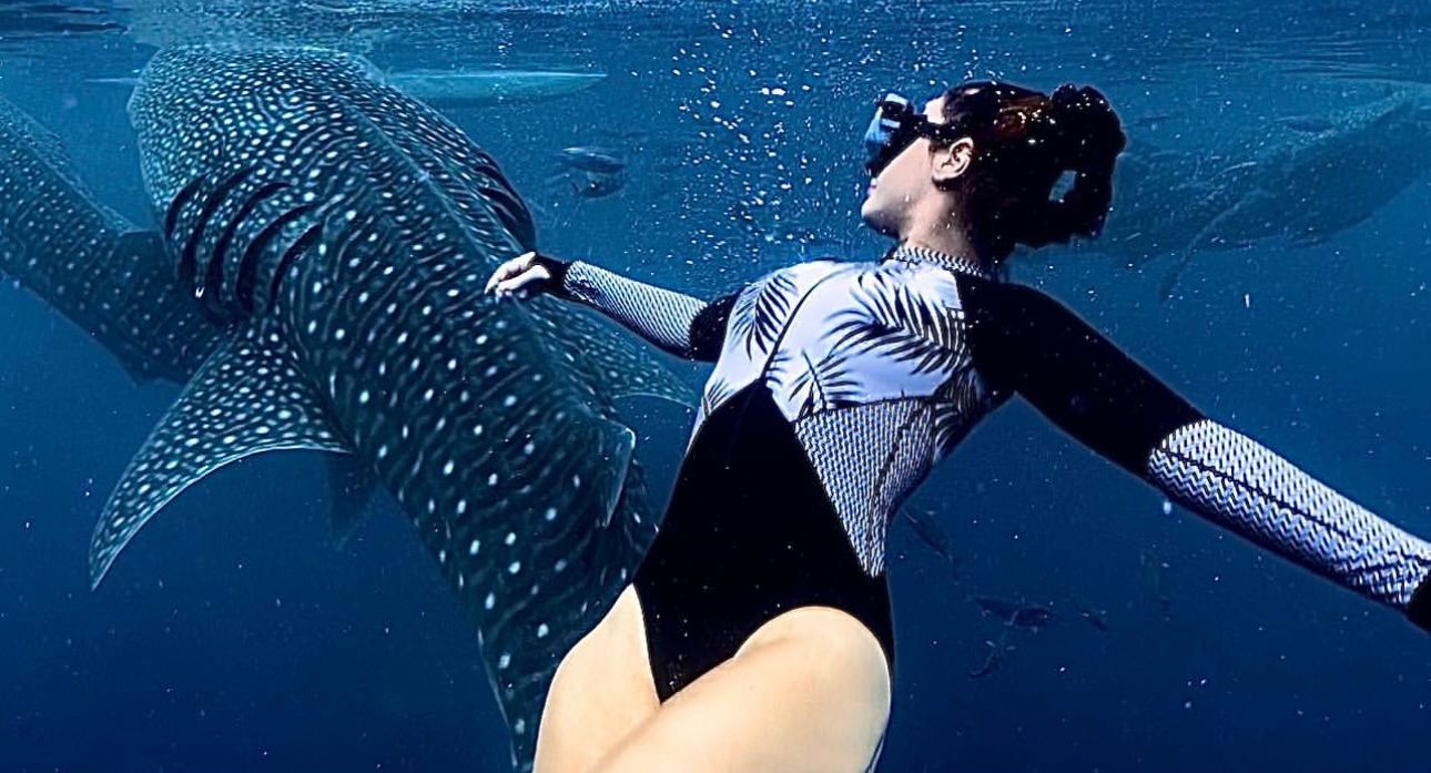 Whale Shark Experience Bohol